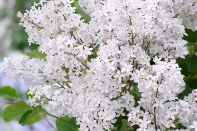 7225a221a8713bb6fb270d9b1fe845df