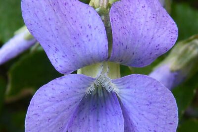 1c953f467eff03e38b99080c9f0c87e8