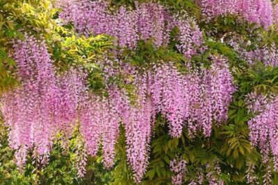 7162846ab9dddb0a5fdafac3fefc7810