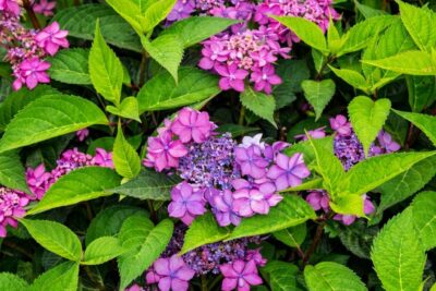 7e552f701d01b589972756fac37efbb5