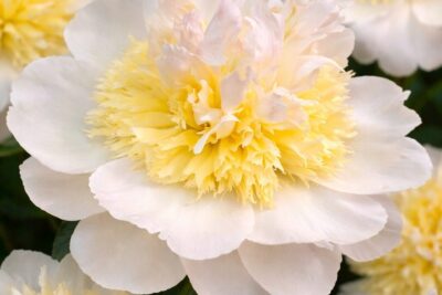 db60febcb99e7607f56cf74ce0b83254