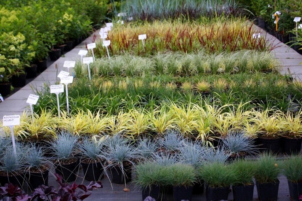 530a18f3a329b0edbfcaaec8bef252a1