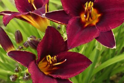 f222f5842f683d6b11229be9325f8a42