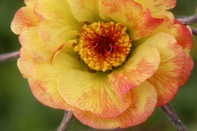 15060a341c872ce8bd5e564fe7785700