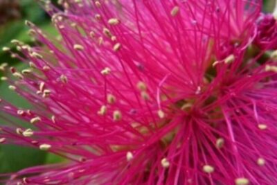 e37efedacffda26d4a542232ac631f00