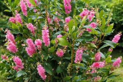 9be61513546376049b02b73e4eb9792d