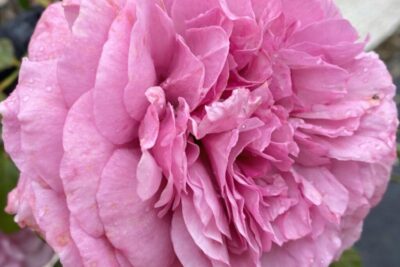 b5f4f996325bba1ef8c0f713c8c16629