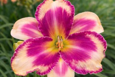 025ce9fd12ee2f1ae1c4f9c6e4d81a7f