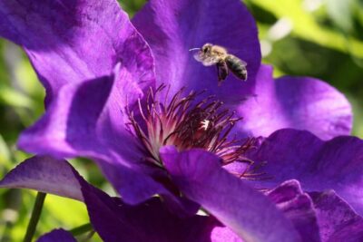 f37b00222d2ad5d03bf55edc249c9477