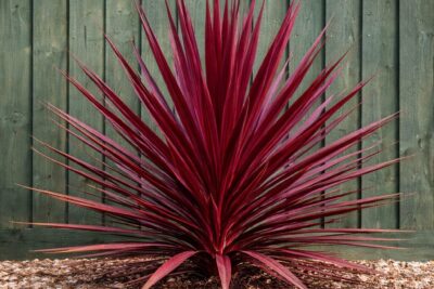 ec38c18945ccce2fc9ccff4ccfce4143