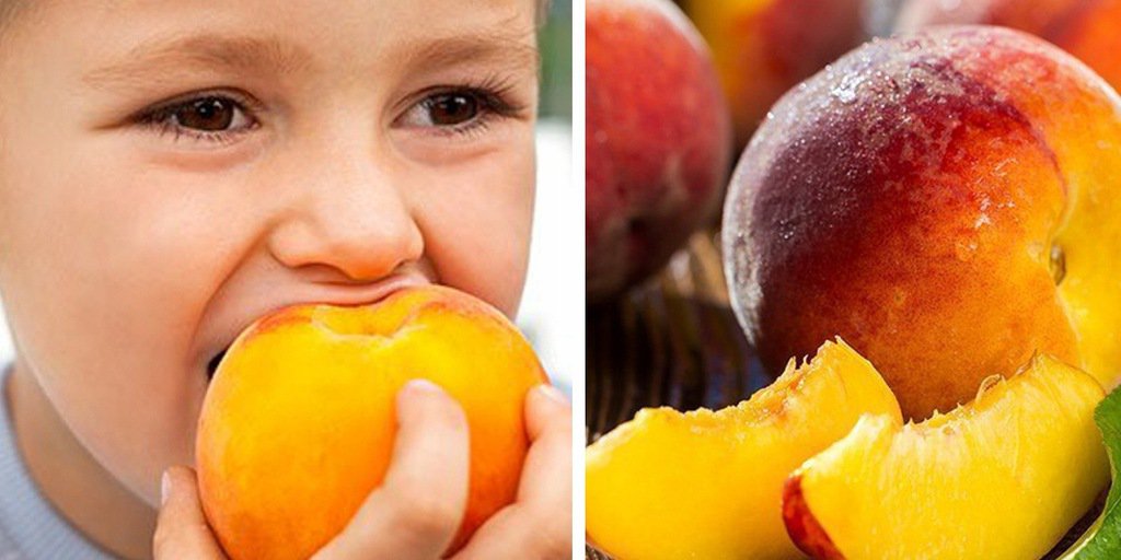 Brzoskwinia MIODOWA MINIATURKA - 4