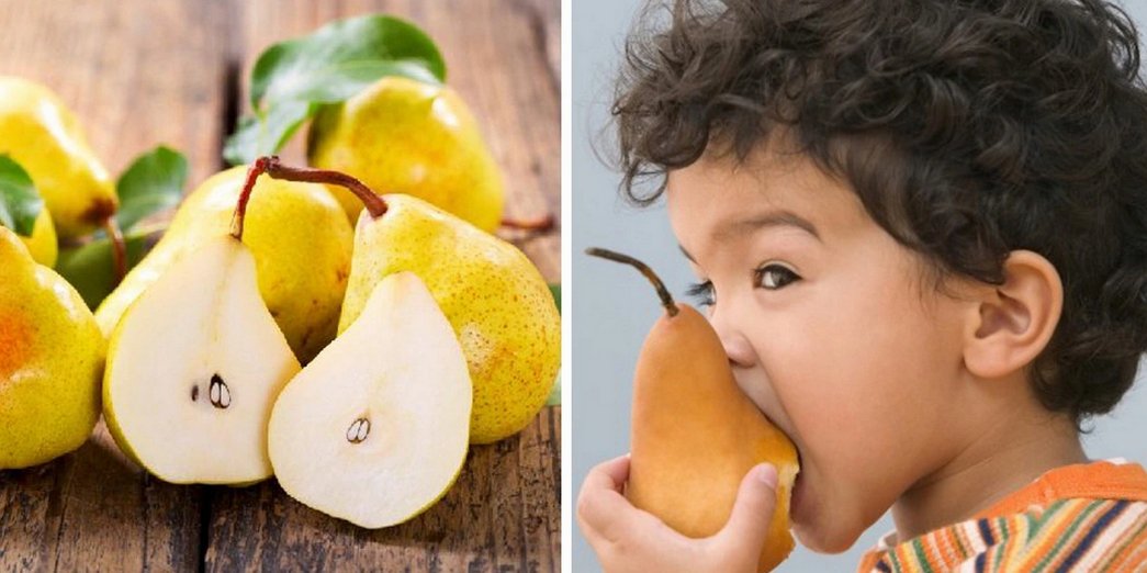 Grusza 5w1 jedno drzewko PIĘĆ ODMIAN - 3