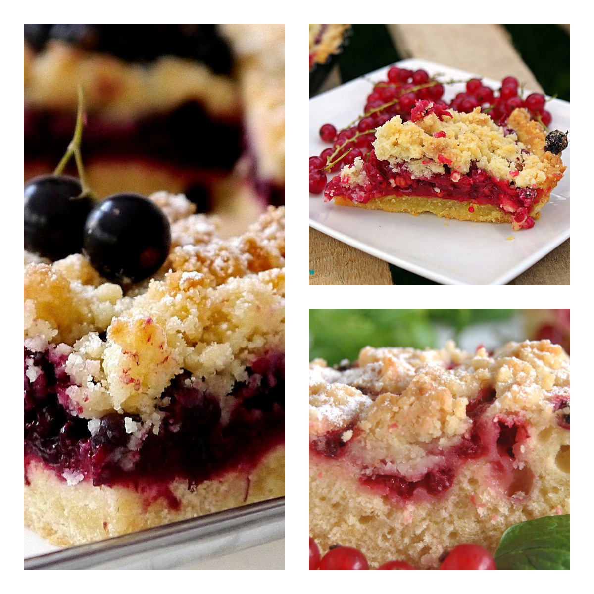 Porzeczka TRIO znakomite odmiany DONICZKA - 4