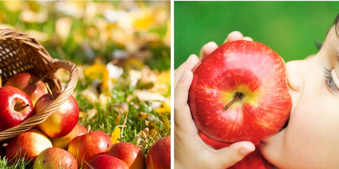 Jabłoń RED BRAEBURN - 5