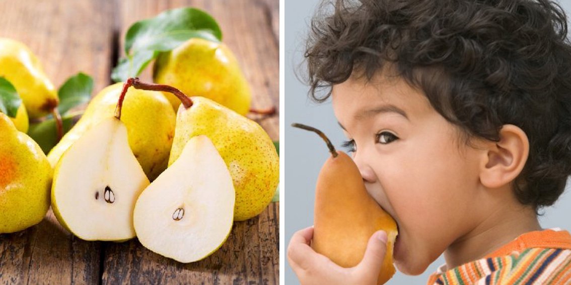 grusza LUKASÓWKA - 4