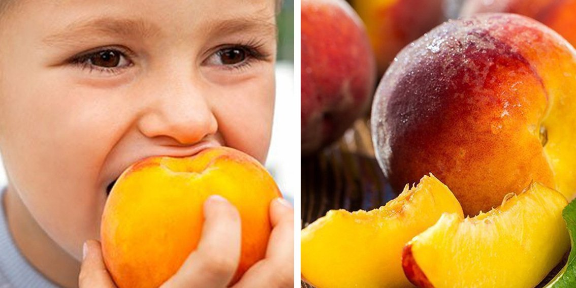 Brzoskwinia RAKONIEWICKA - 4