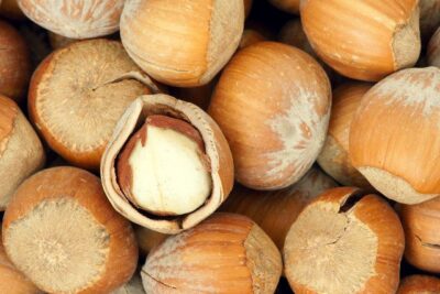 Orzech laskowy BARCELOŃSKI szczepiony