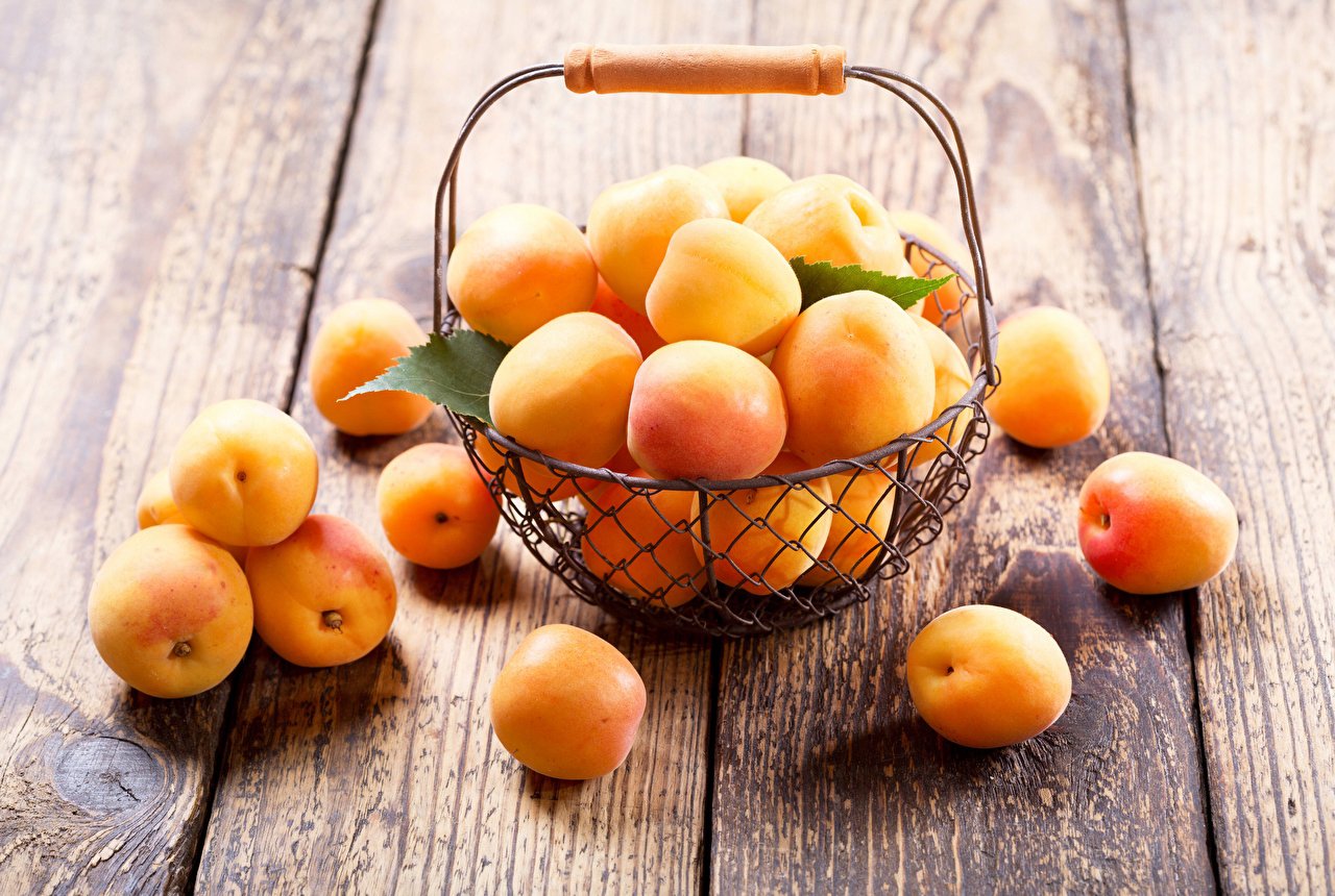 Morela EARLY BLUSH - 3