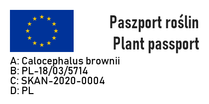 Kalacefalus BROWNA - 5