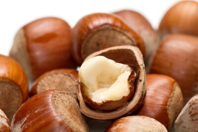 Leszczyna Orzech laskowy Cenny Webba