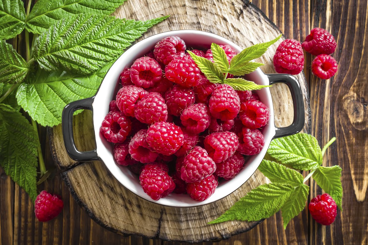 Malina CZERWONA późna - 3