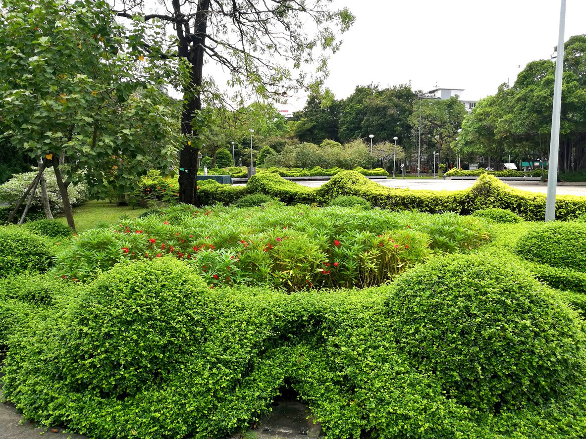 IRGA POŁOŻONA LITTLE GEM - 2