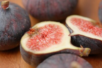 FIGOWIEC pospolity FRANCUESCO