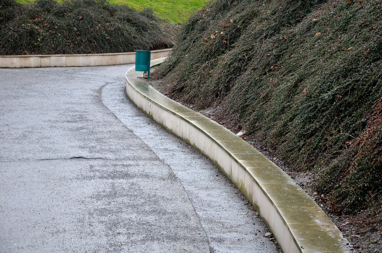 IRGA szwedzka ROYAL CARPET - 2