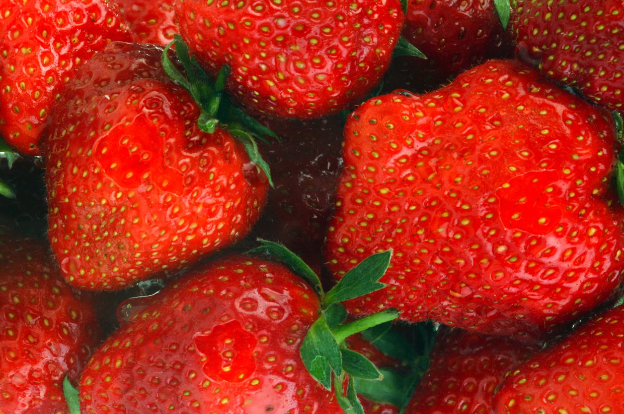 Truskawka PÓŹNA DUKAT W POJEMNIKU - 2