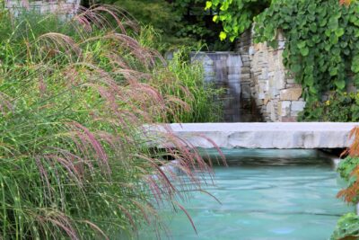 Trawa Miskant KASKADE