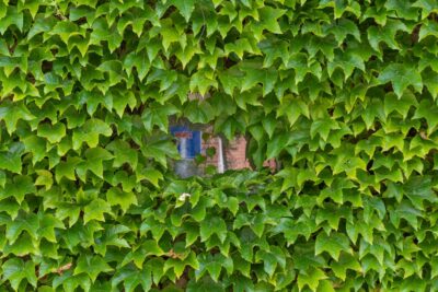 WINOBLUSZCZ TRÓJKLAPOWY DIAMOND MOUNTAINS