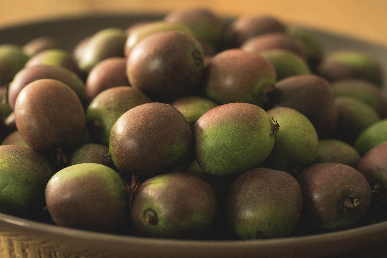 MINI KIWI Actinidia arguta Ananasnaya - 2