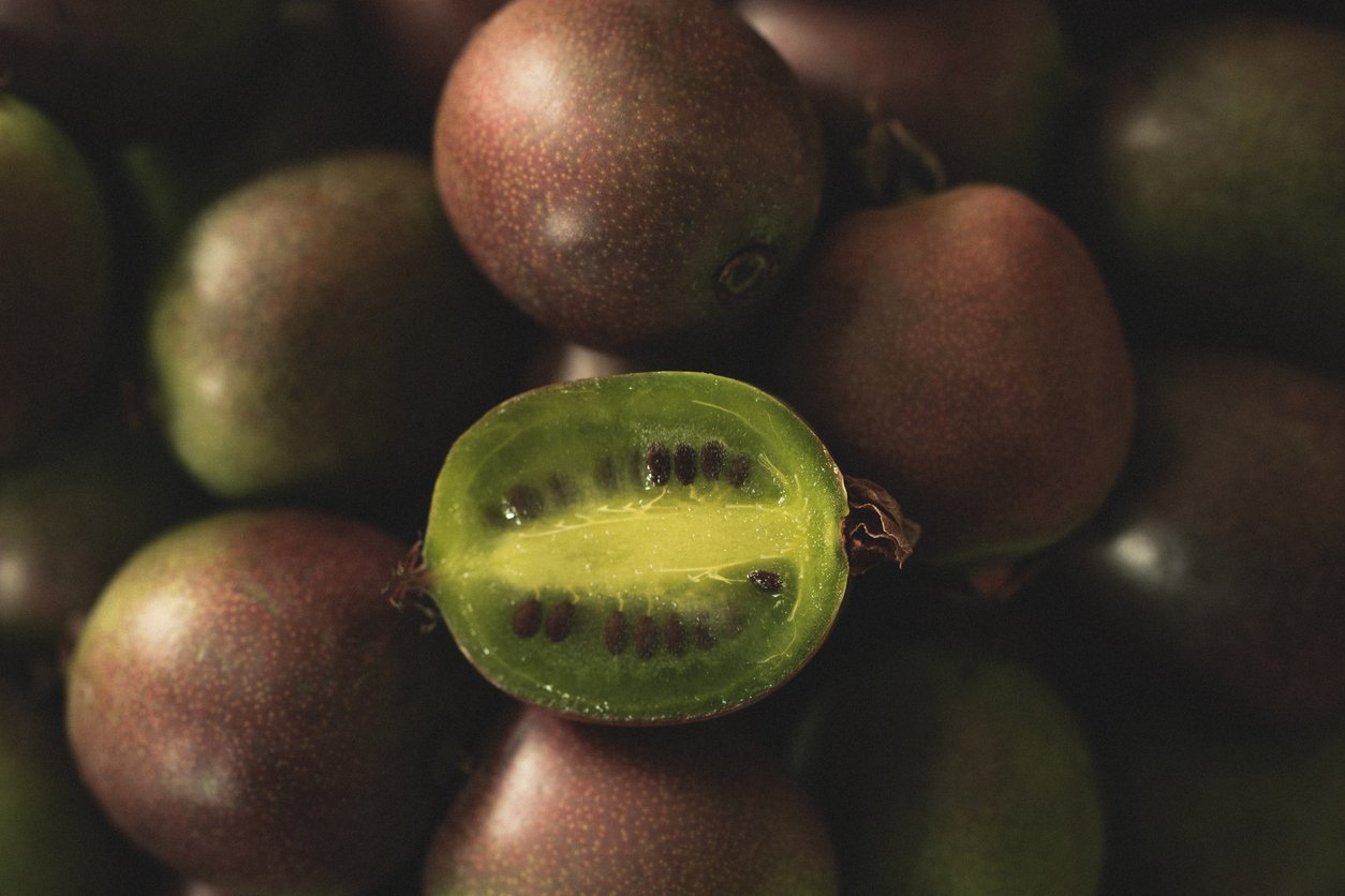 MINI KIWI Aktinidia Ostrolistna Genewa - 3