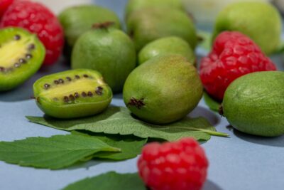 MINI KIWI Aktinidia Ostrolistna Genewa
