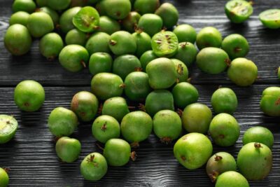 MINI KIWI aktinidia ostrolistna ROGÓW