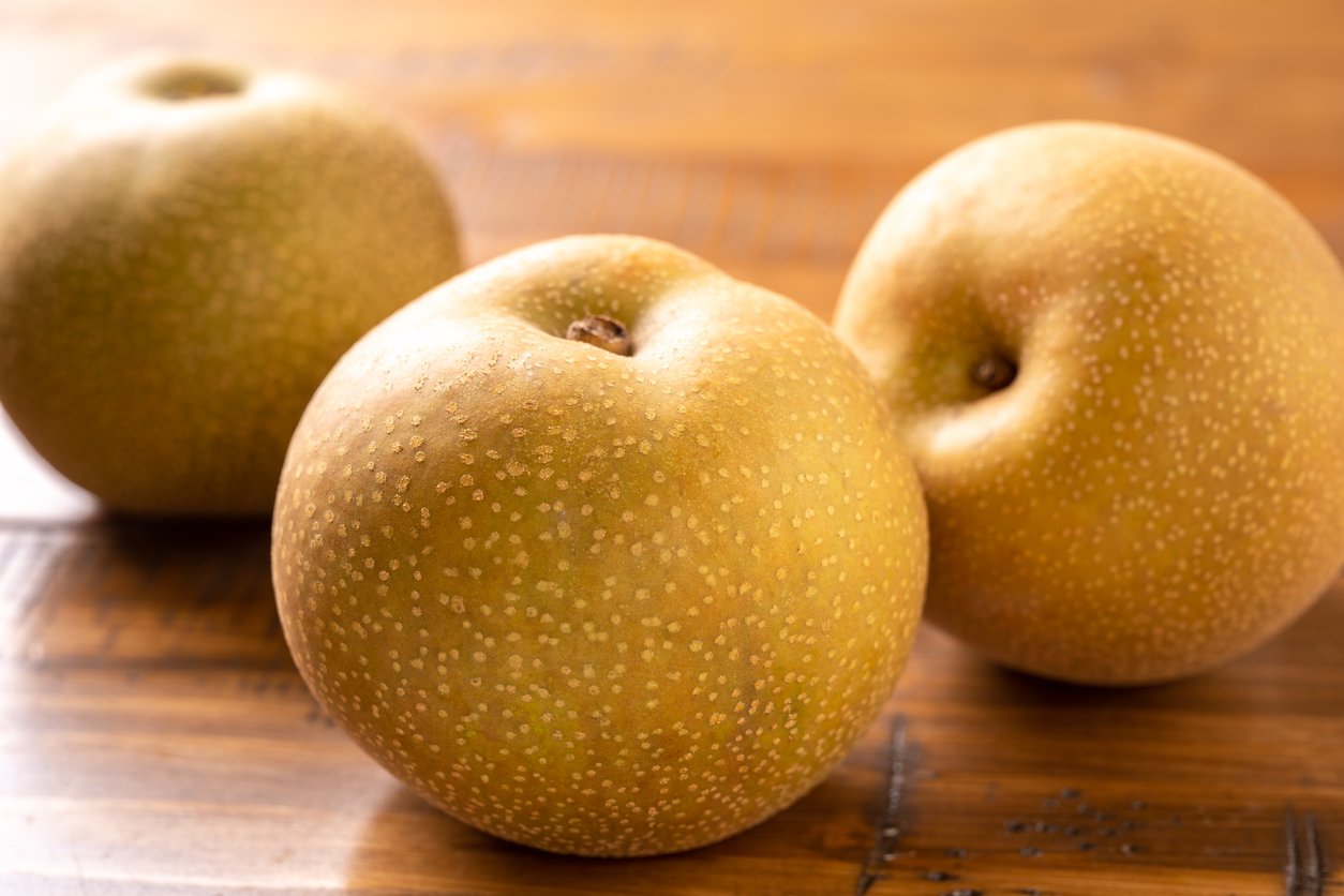 grusza japońska CHOJURO - 5