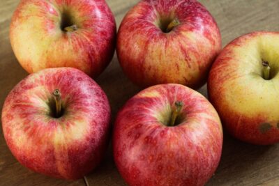 Jabłoń CORTLAND WICKI