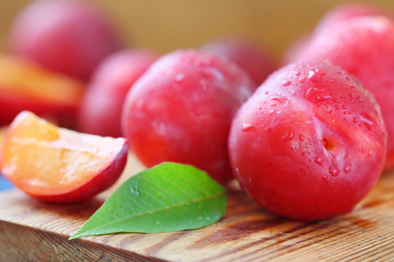 Śliwa Japońska NAJDIENA - 2