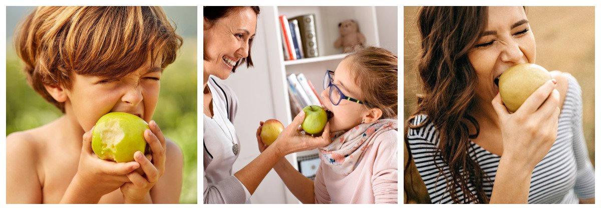 Jabłoń JONAGOLD - 4