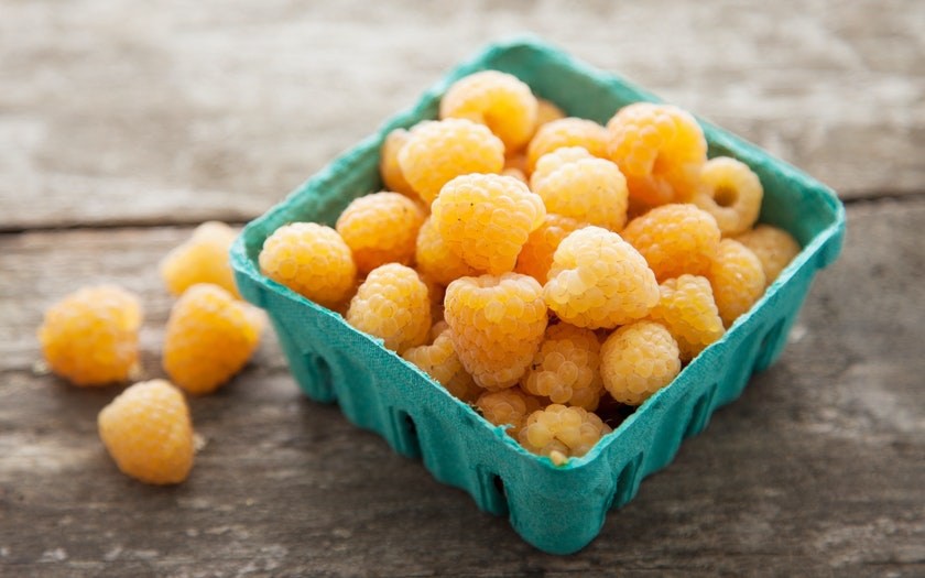 Malina Good As Gold - 3